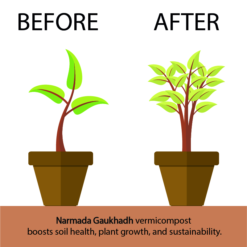 Vermicompost 25 KG - Image 3